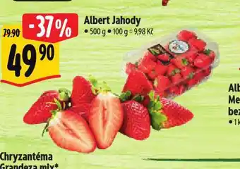 Albert Jahody nabídka
