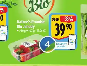 Albert Bio jahody nabídka