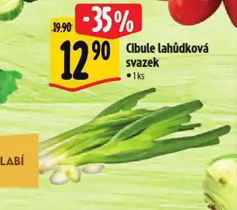 Albert Cibule lahůdková svazek nabídka