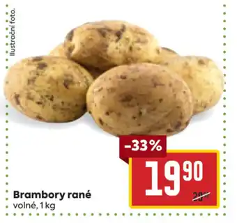 Billa Brambory rané nabídka