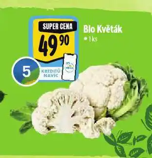 Albert Bio květák nabídka