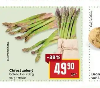 Chřest zelený