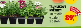 Penny Market TRUHLÍKOVÉ KVĚTINY nabídka