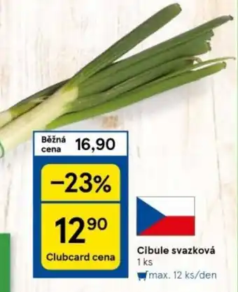 Tesco Cibule svazková nabídka