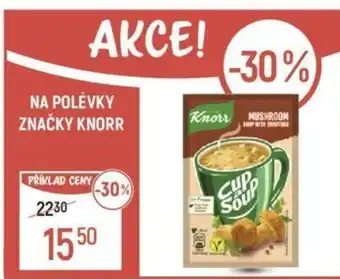 Globus NA POLÉVKY ZNAČKY KNORR nabídka