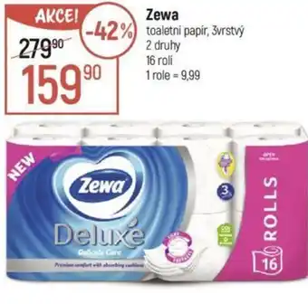 Globus Zewa nabídka
