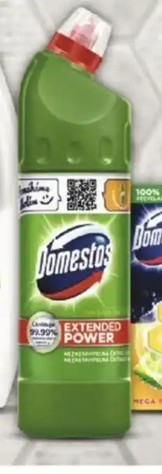 Globus Domestos nabídka