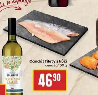 Billa Candát filet s kůží nabídka