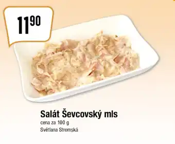 TEMPO Salát Ševcovský mls nabídka