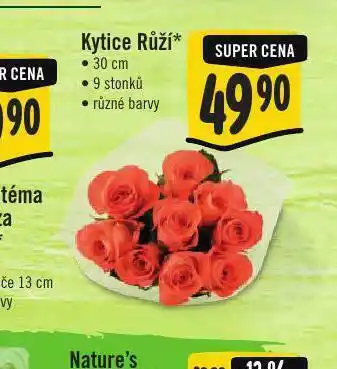 Jip Kytice růží nabídka