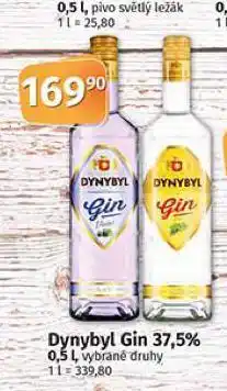Dynybyl gin