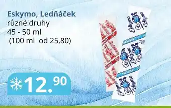 Potraviny CZ Eskymo, Ledňáček nabídka