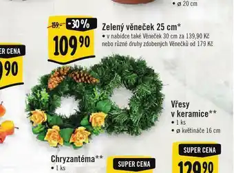Albert Zelený věneček 25 cm nabídka