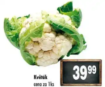 Qanto Květák nabídka
