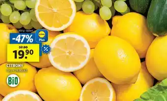 Lidl Citrony nabídka