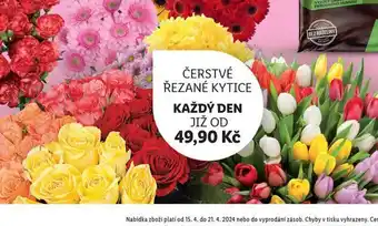 Lidl Čerstvé řezané kytice nabídka