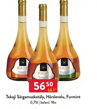 Qanto Tokaji Sárgamuskotály, Hárslevelu, Furmint 0.75L nabídka