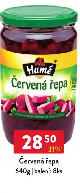 Červená řepa