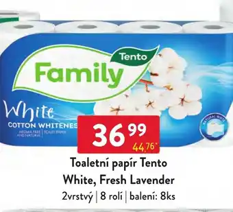 Qanto Toaletní papír Tento White, Fresh Lavender nabídka