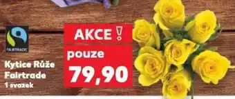 Kaufland Kytice Růže Fairtrade nabídka