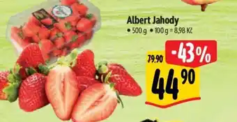 Albert Albert Jahody nabídka