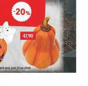 Dýně halloween