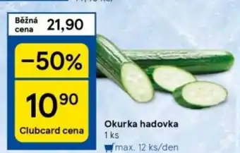 Tesco Okurka hadovka nabídka