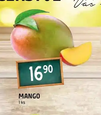 Terno MANGO nabídka