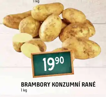 Terno BRAMBORY KONZUMNÍ RANÉ nabídka