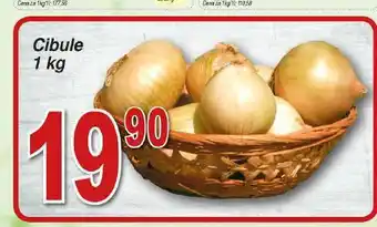 Hruška Cibule nabídka