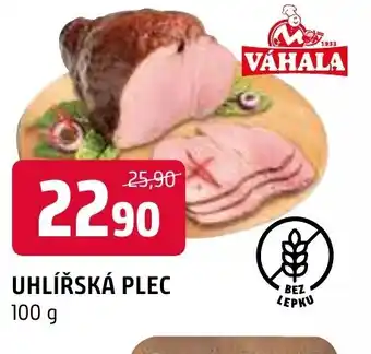 Terno UHLÍŘSKÁ PLEC nabídka