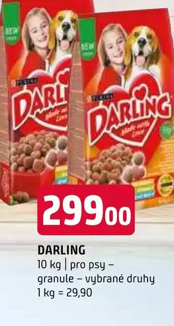 Terno DARLING nabídka