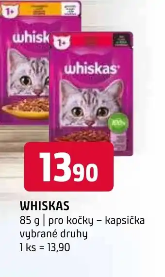Terno WHISKAS nabídka