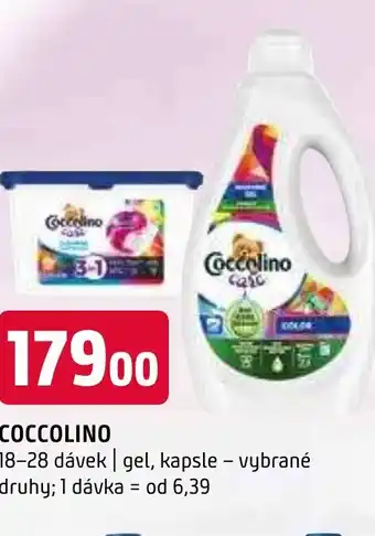 Terno COCCOLINO nabídka