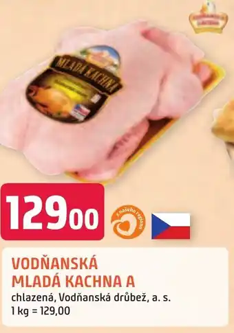 VODŇANSKÁ MLADÁ KACHNA A