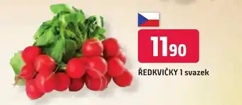 Trefa ŘEDKVIČKY 1 svazek nabídka