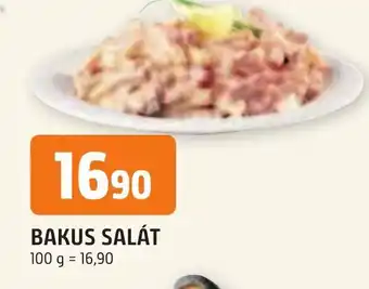 Trefa BAKUS SALÁT nabídka