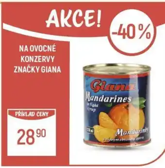 Globus NA OVOCNÉ KONZERVY ZNAČKY GIANA nabídka