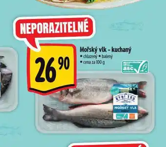 Albert Mořský vlk nabídka