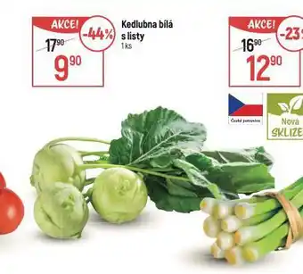 Globus Kedlubna bílá nabídka