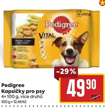 Billa Pedigree Kapsičky pro psy nabídka