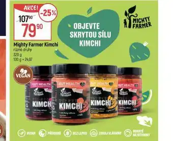 Globus Might farmer kimchi nabídka