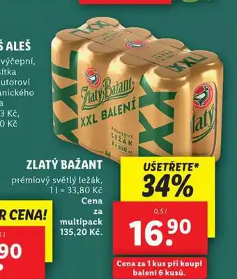 Lidl Pivo zlatý bažant nabídka