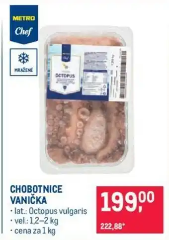 Makro CHOBOTNICE VANIČKA nabídka