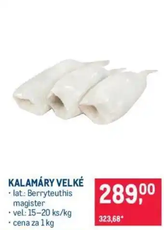 Makro KALAMÁRY VELKÉ nabídka