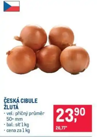 Makro ČESKÁ CIBULE ŽLUTÁ nabídka