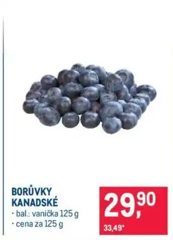 Makro BORŮVKY KANADSKÉ nabídka