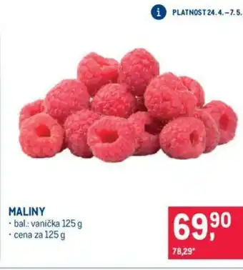 Makro MALINY nabídka