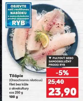 Kaufland Tilápie nabídka