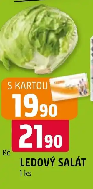 LEDOVÝ SALÁT